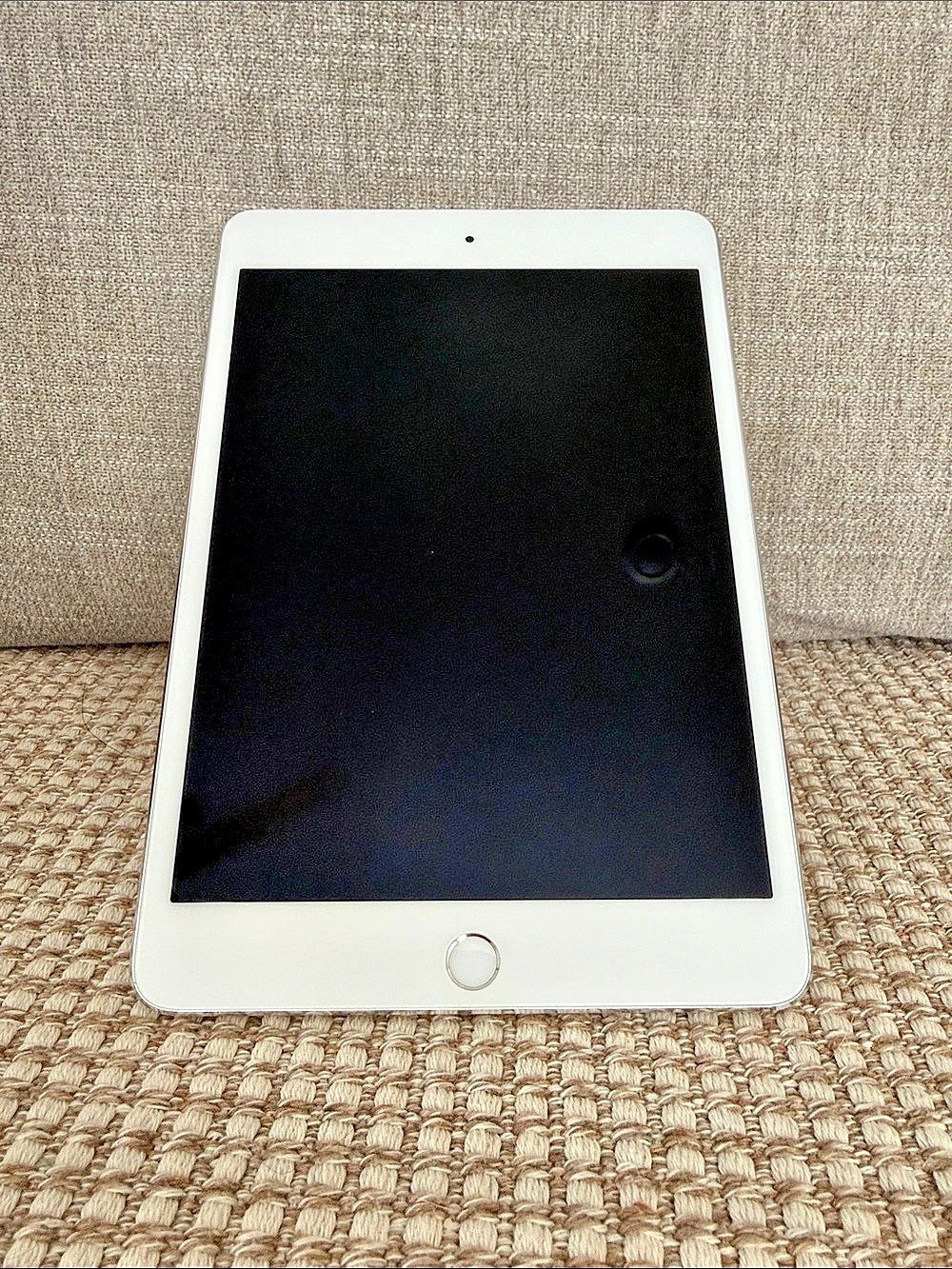 Apple iPad mini: White/Silver